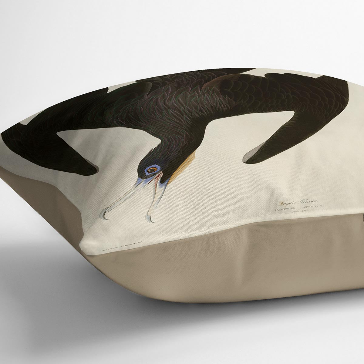 Frigate Pelican by Audubon Cushion