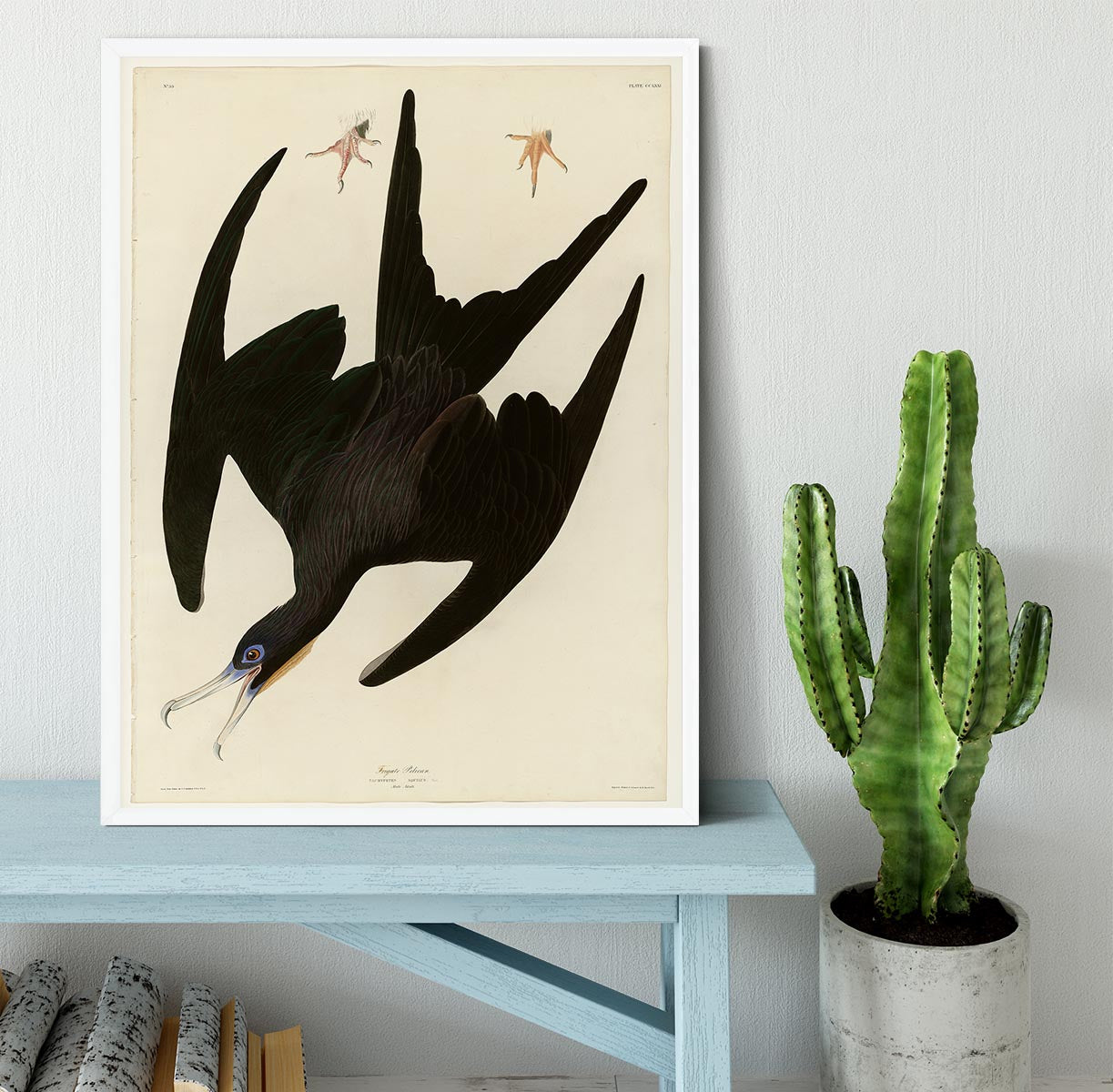 Frigate Pelican by Audubon Framed Print - Canvas Art Rocks -6