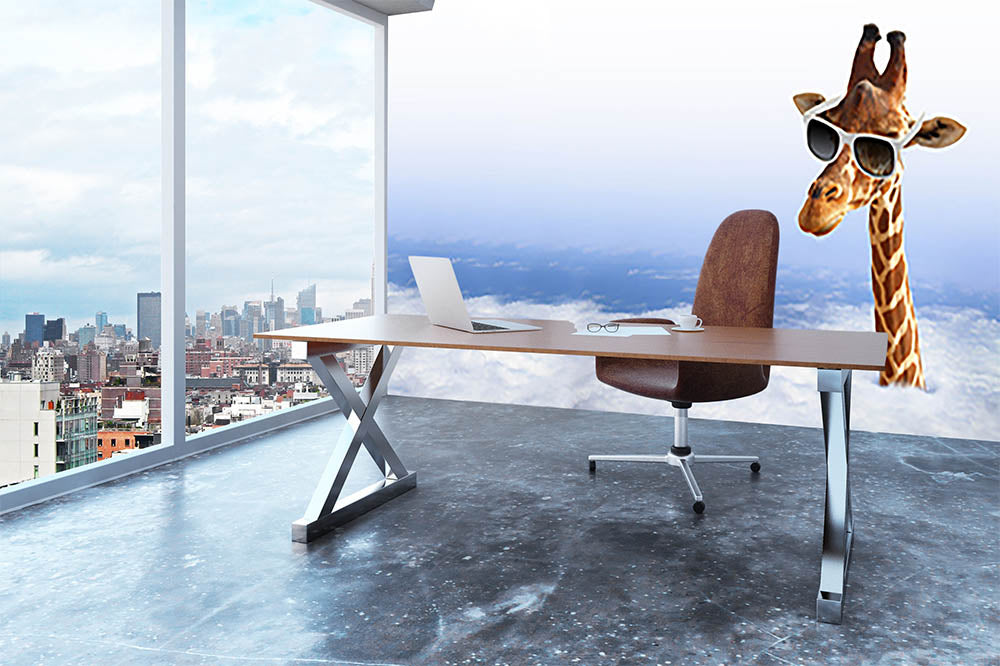 Funny giraffe with sunglasses coming out of the clouds Wall Mural Wallpaper - Canvas Art Rocks - 3
