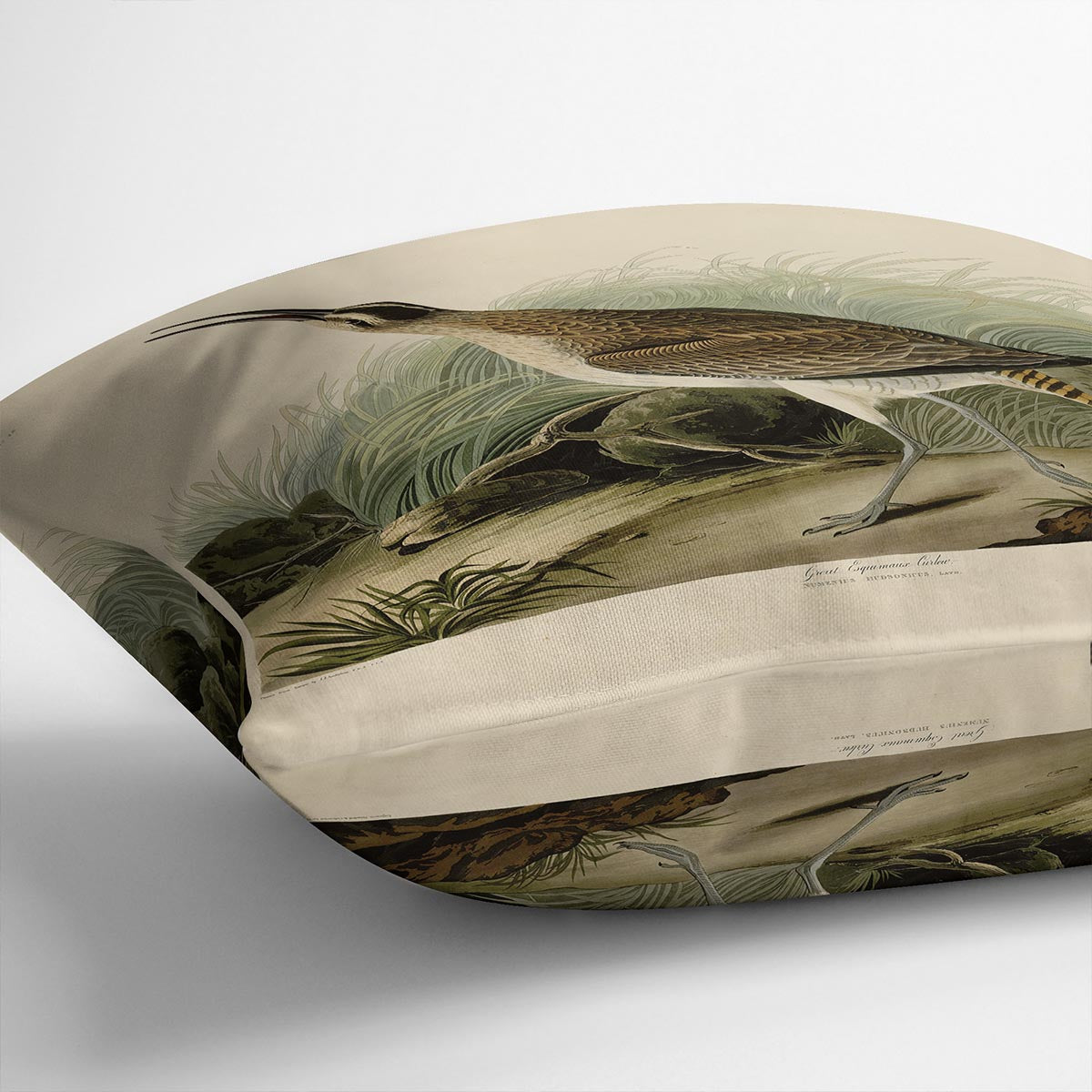 Great Esquimaux Curlew by Audubon Cushion