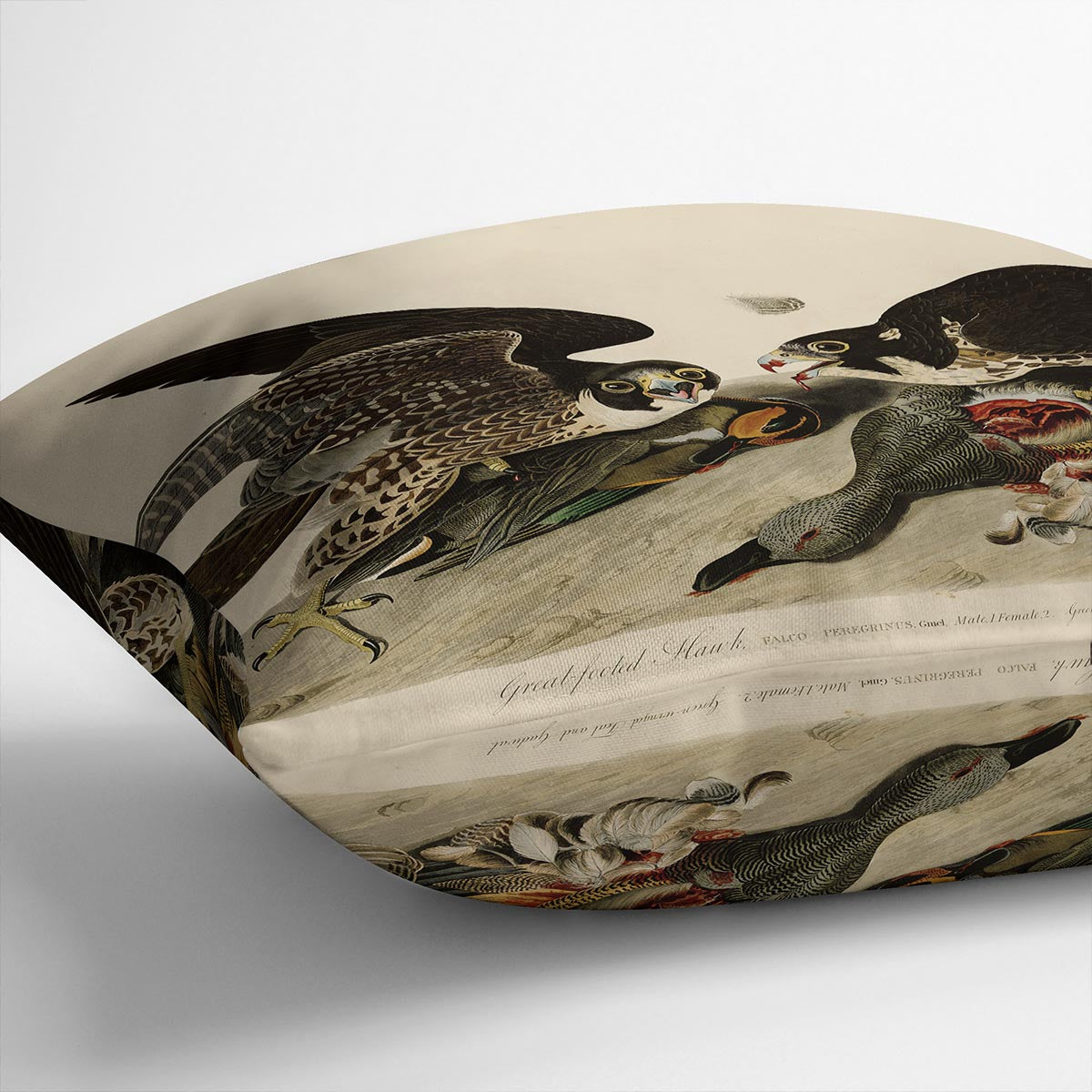 Great footed Hawk by Audubon Cushion