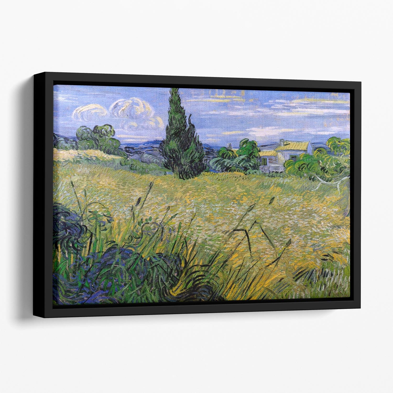 Green Wheat Field with Cypress by Van Gogh Floating Framed Canvas