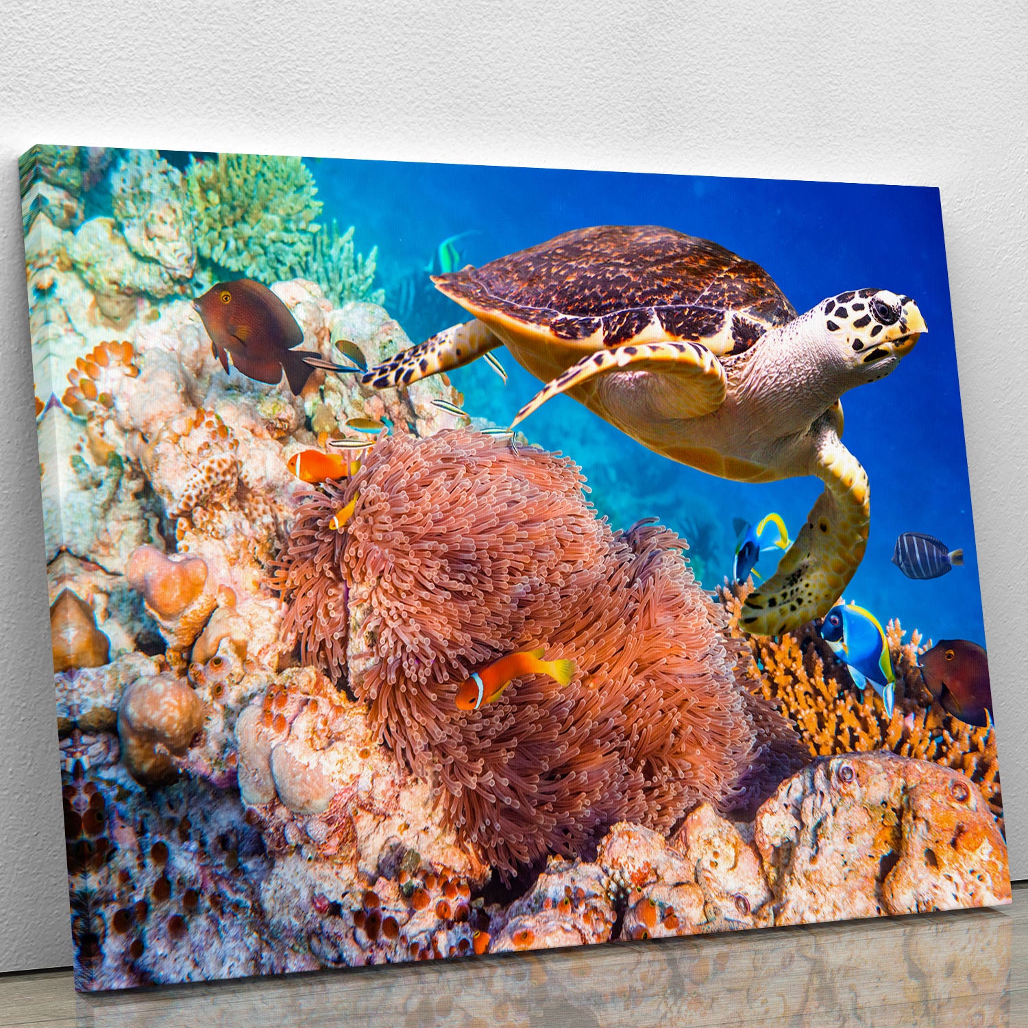 Hawksbill Turtle Canvas Print or Poster - Canvas Art Rocks - 1