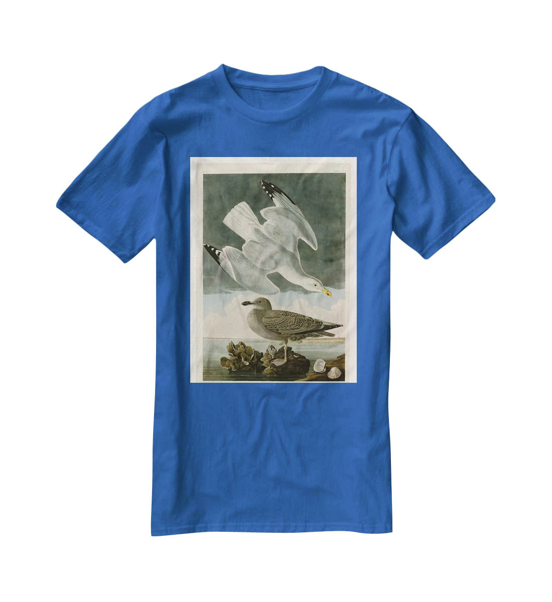 Herring Gull by Audubon T-Shirt - Canvas Art Rocks - 2
