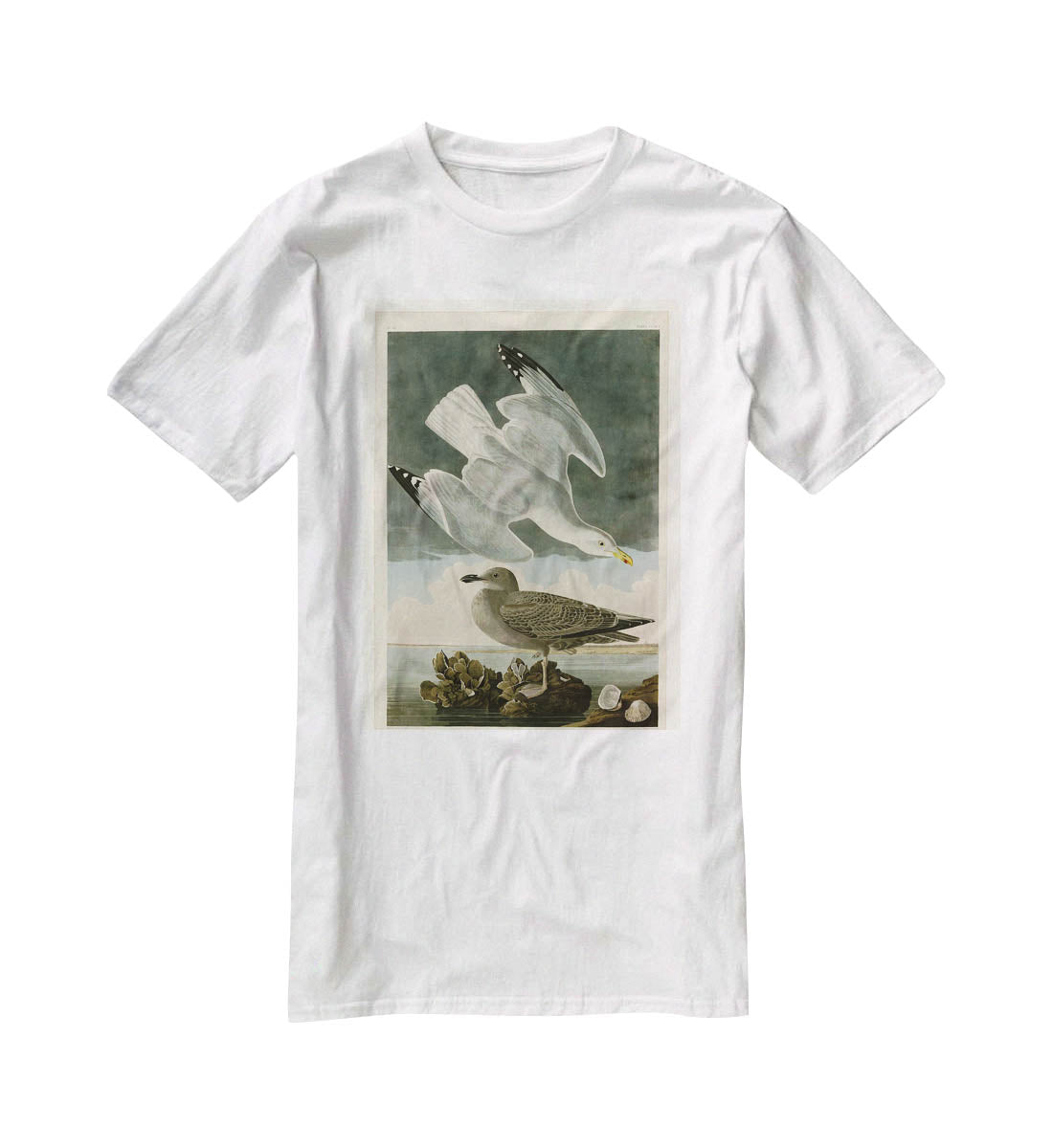 Herring Gull by Audubon T-Shirt - Canvas Art Rocks - 5