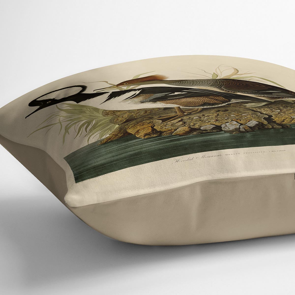 Hooded Merganser by Audubon Cushion