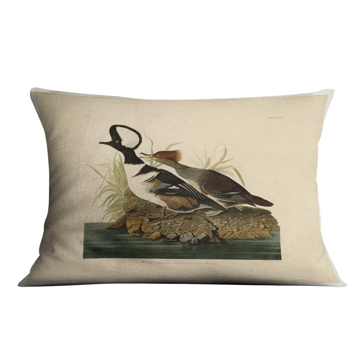 Hooded Merganser by Audubon Cushion