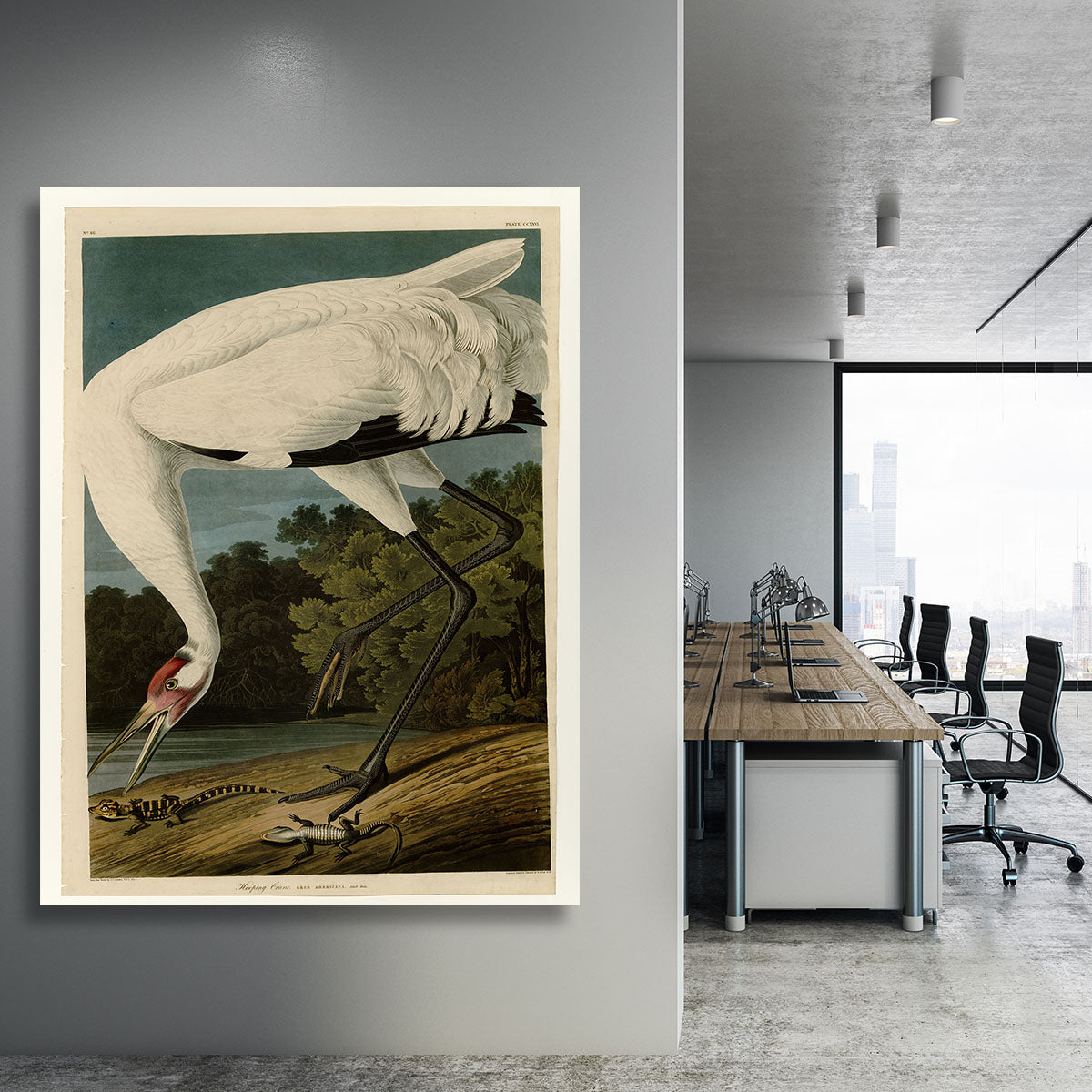Hooping Crane by Audubon Canvas Print or Poster - Canvas Art Rocks - 3