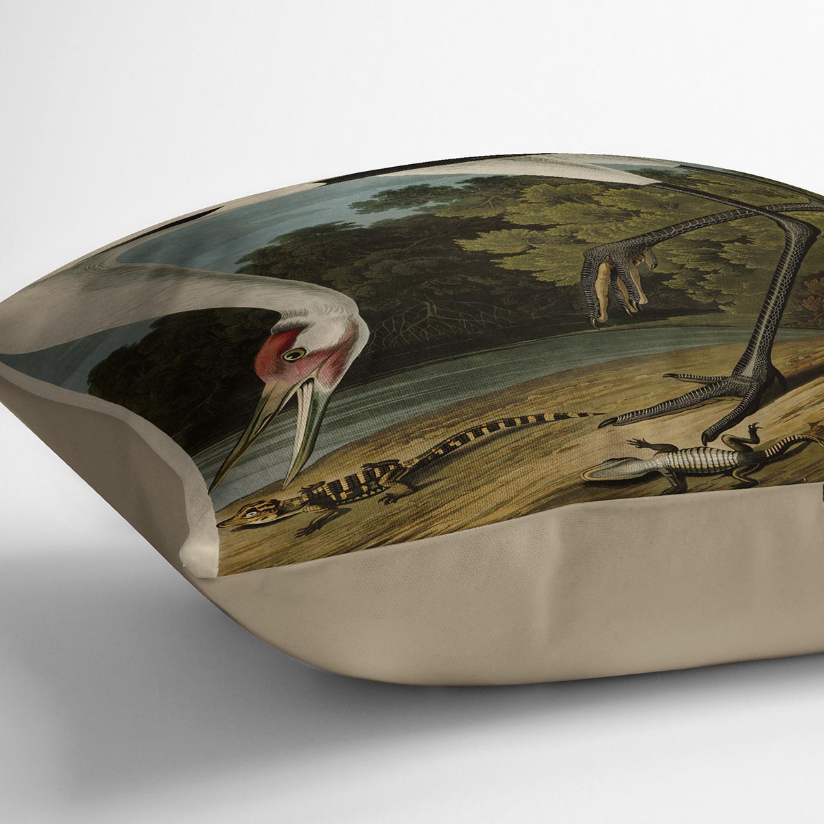 Hooping Crane by Audubon Cushion