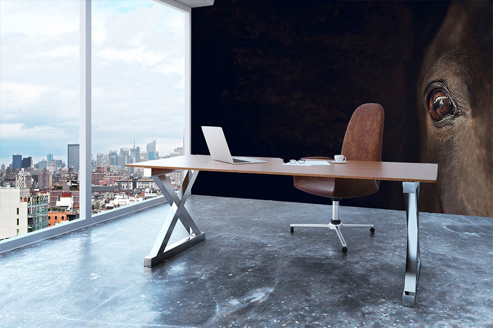 Horse eye Wall Mural Wallpaper - Canvas Art Rocks - 3