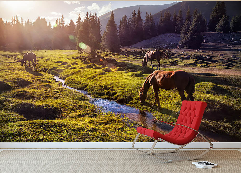 Horses in the Gregory gorge mountains Wall Mural Wallpaper - Canvas Art Rocks - 2