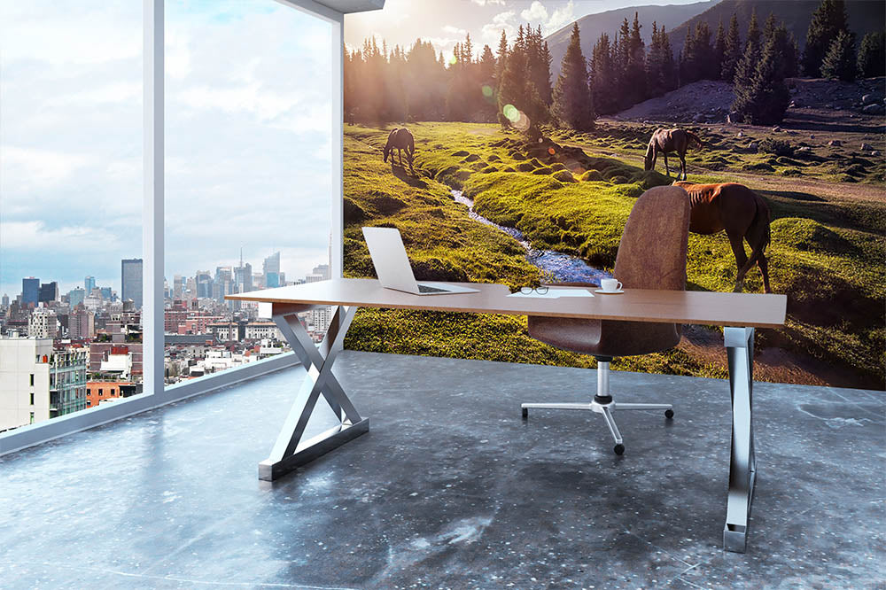 Horses in the Gregory gorge mountains Wall Mural Wallpaper - Canvas Art Rocks - 3