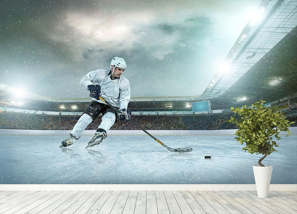 Ice hockey Winter Classic game Wall Mural Wallpaper - Canvas Art Rocks - 4