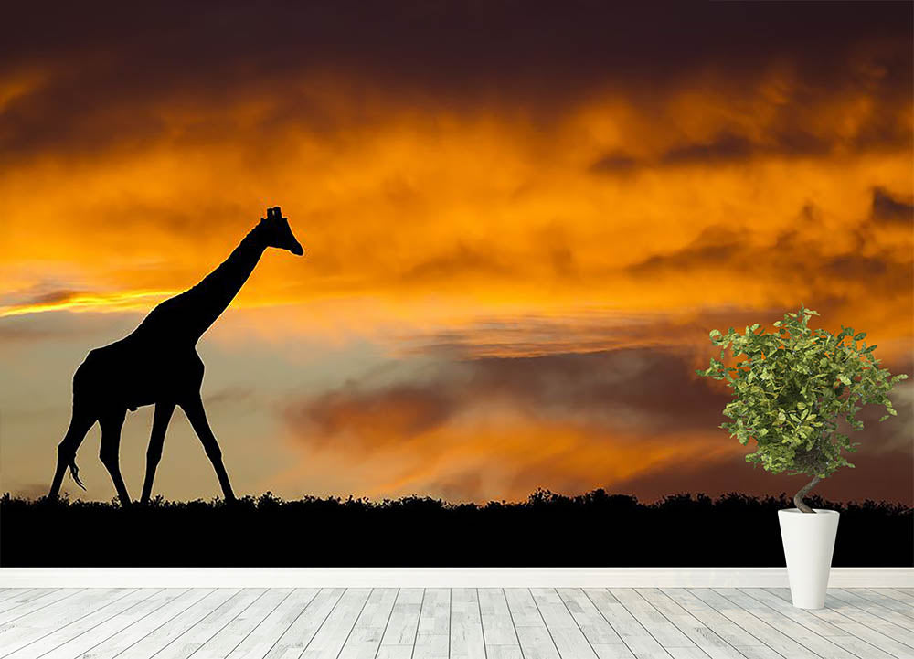 Idyllic african wildlife silhouette Wall Mural Wallpaper - Canvas Art Rocks - 4