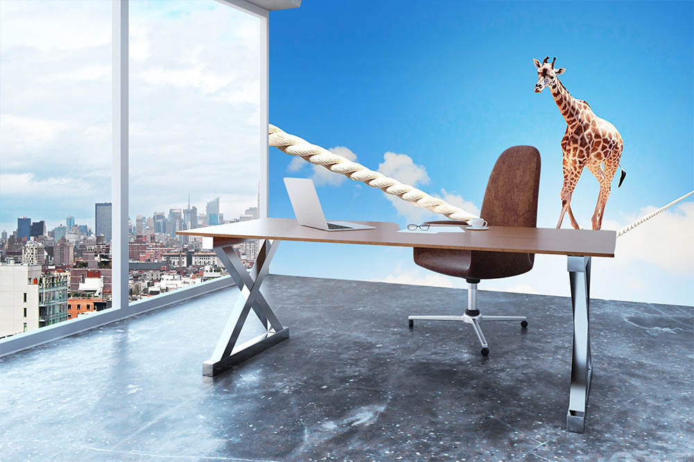 Image of giraffe walking on rope high in sky Wall Mural Wallpaper - Canvas Art Rocks - 3