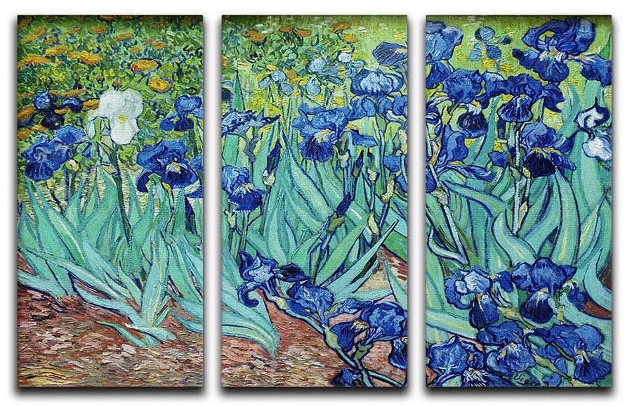 Irises by Van Gogh 3 Split Panel Canvas Print - Canvas Art Rocks - 4