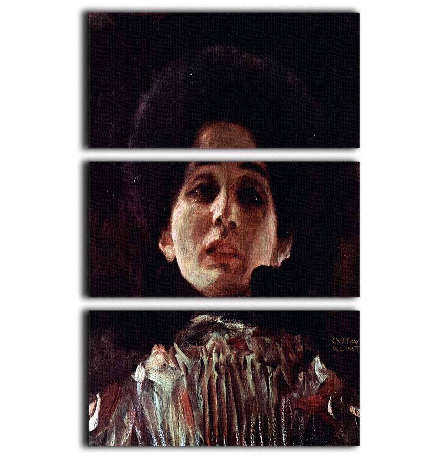 Klimt 3 Split Panel Canvas Print - Canvas Art Rocks - 1