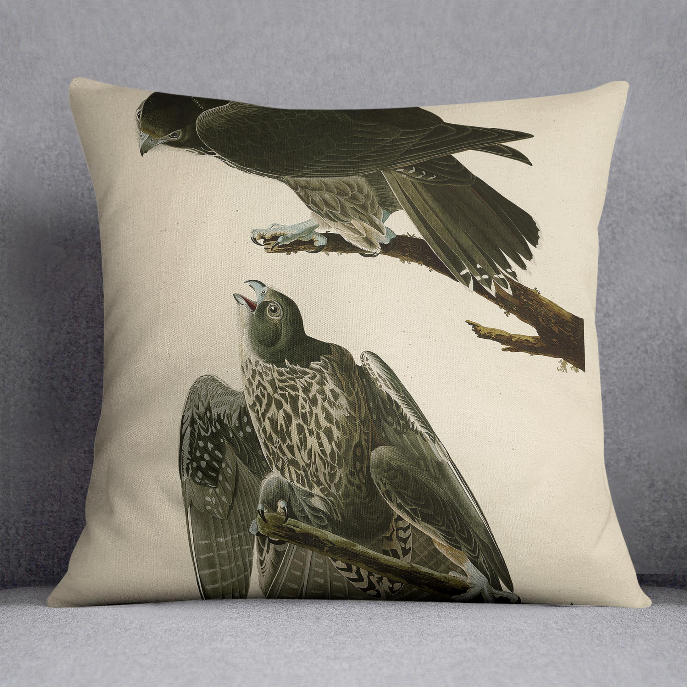 Labrador Falcon by Audubon Cushion
