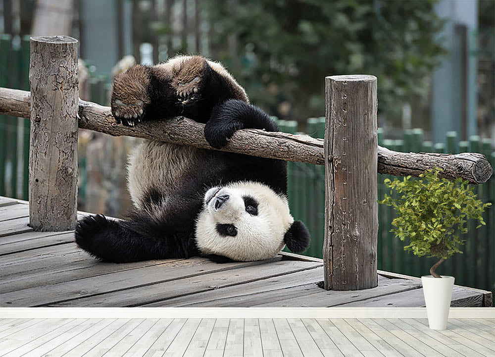 Little Panda Wall Mural Wallpaper - Canvas Art Rocks - 4