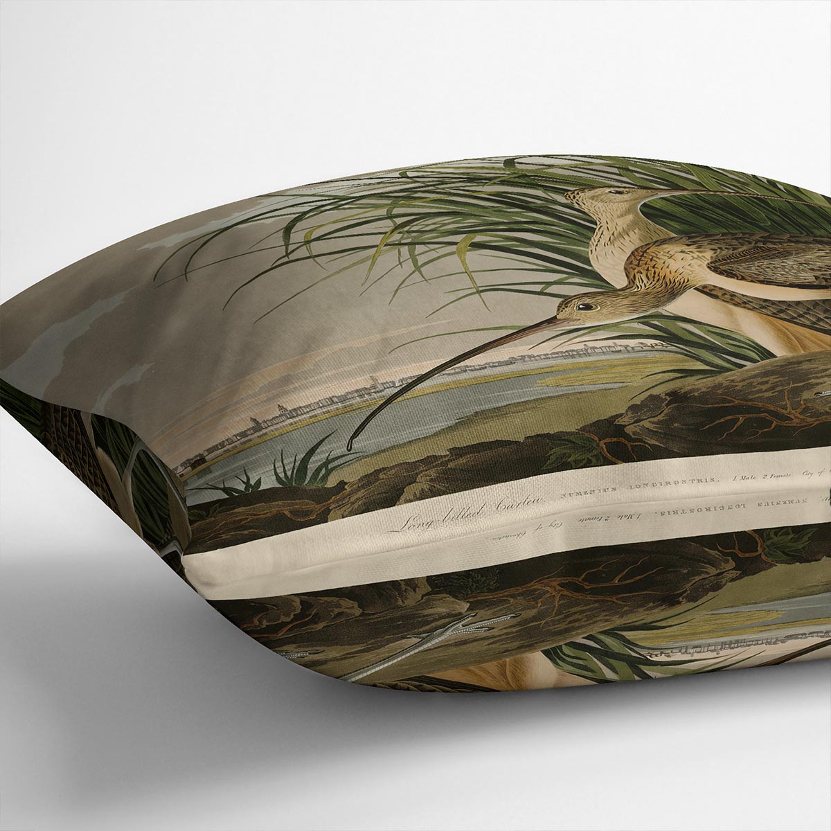 Long billed Curlew by Audubon Cushion