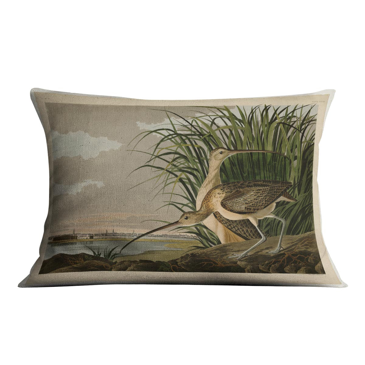 Long billed Curlew by Audubon Cushion