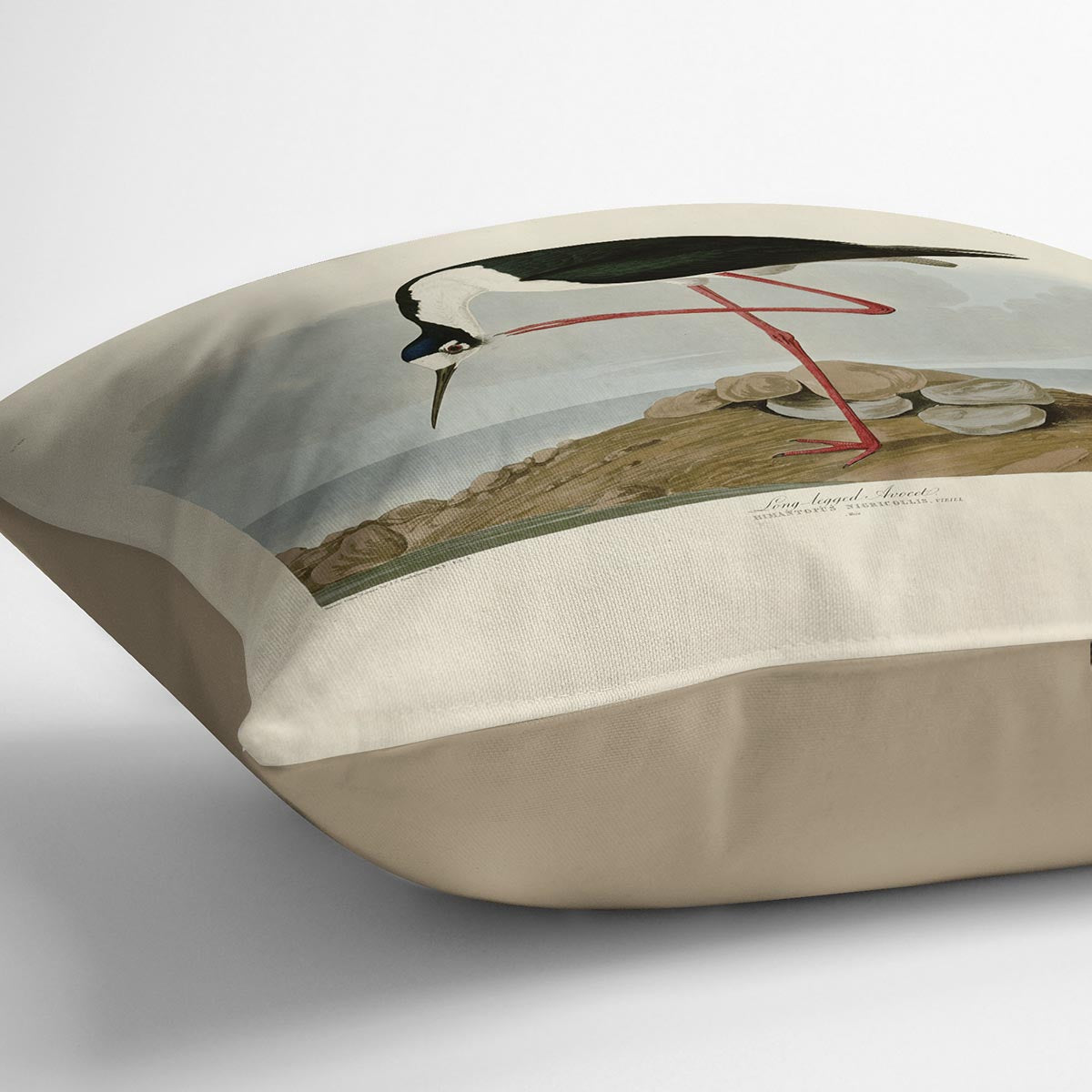 Long legged Avocet by Audubon Cushion