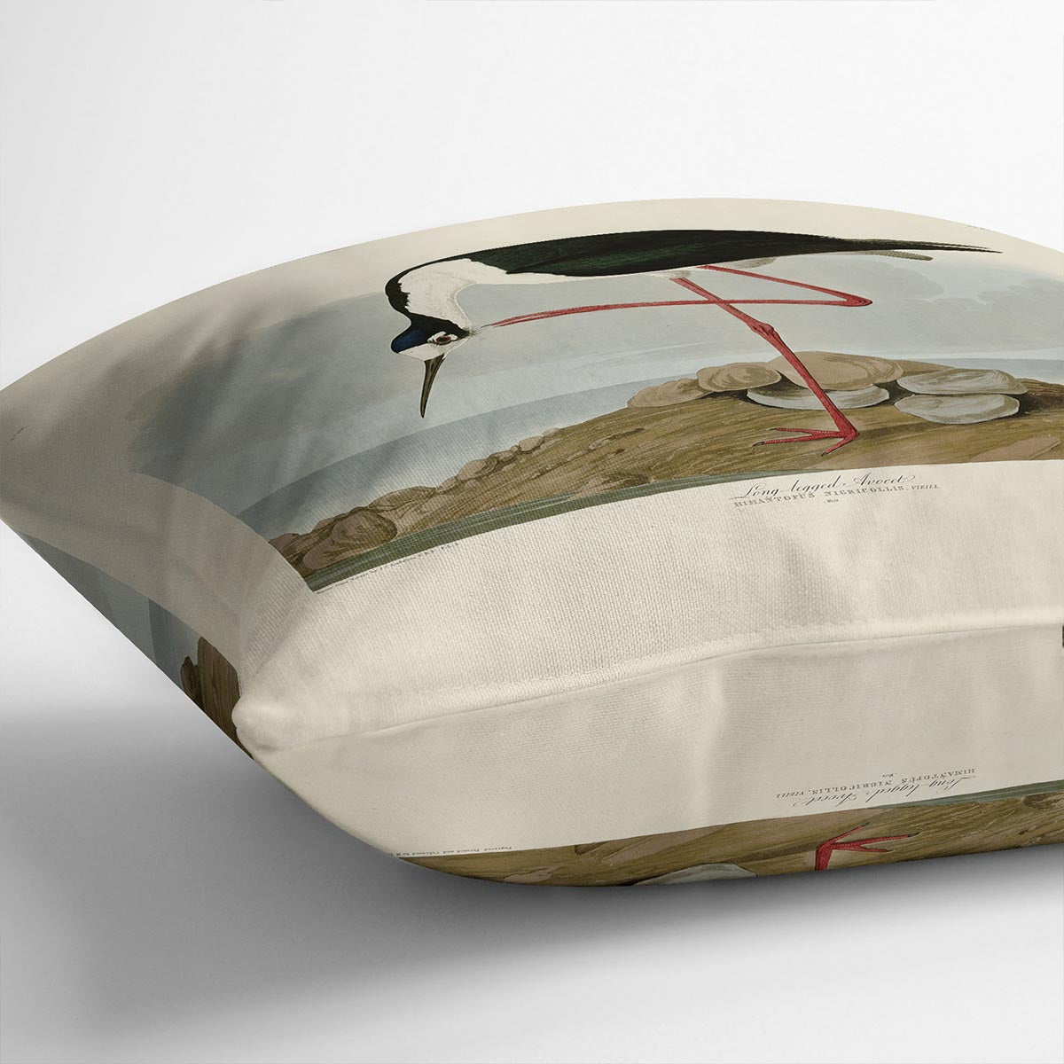 Long legged Avocet by Audubon Cushion