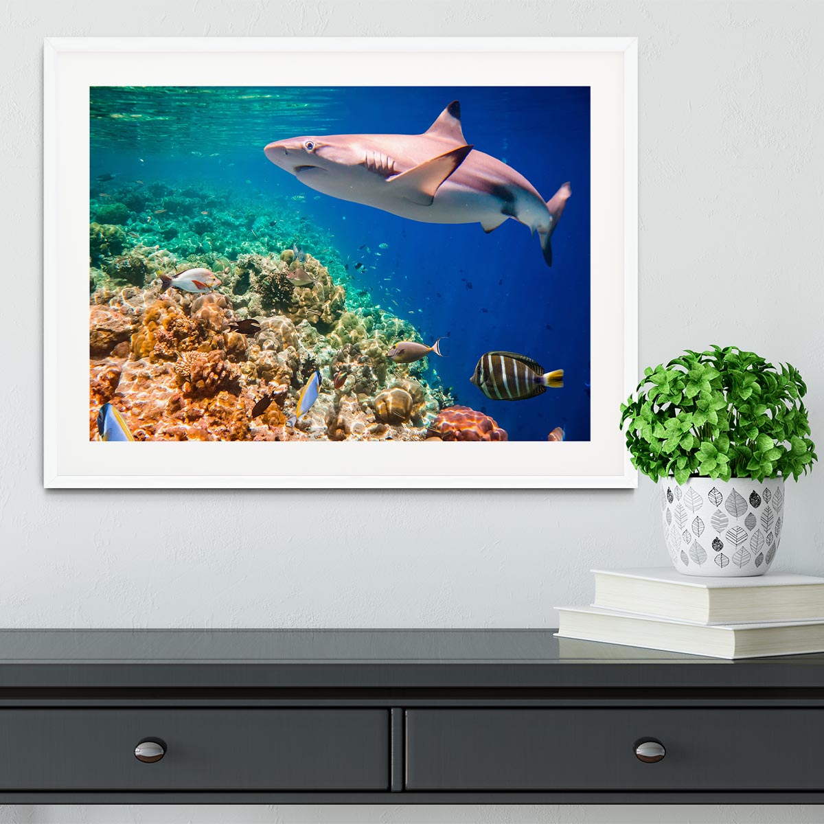 Maldives Indian Ocean coral reef Framed Print - Canvas Art Rocks - 5