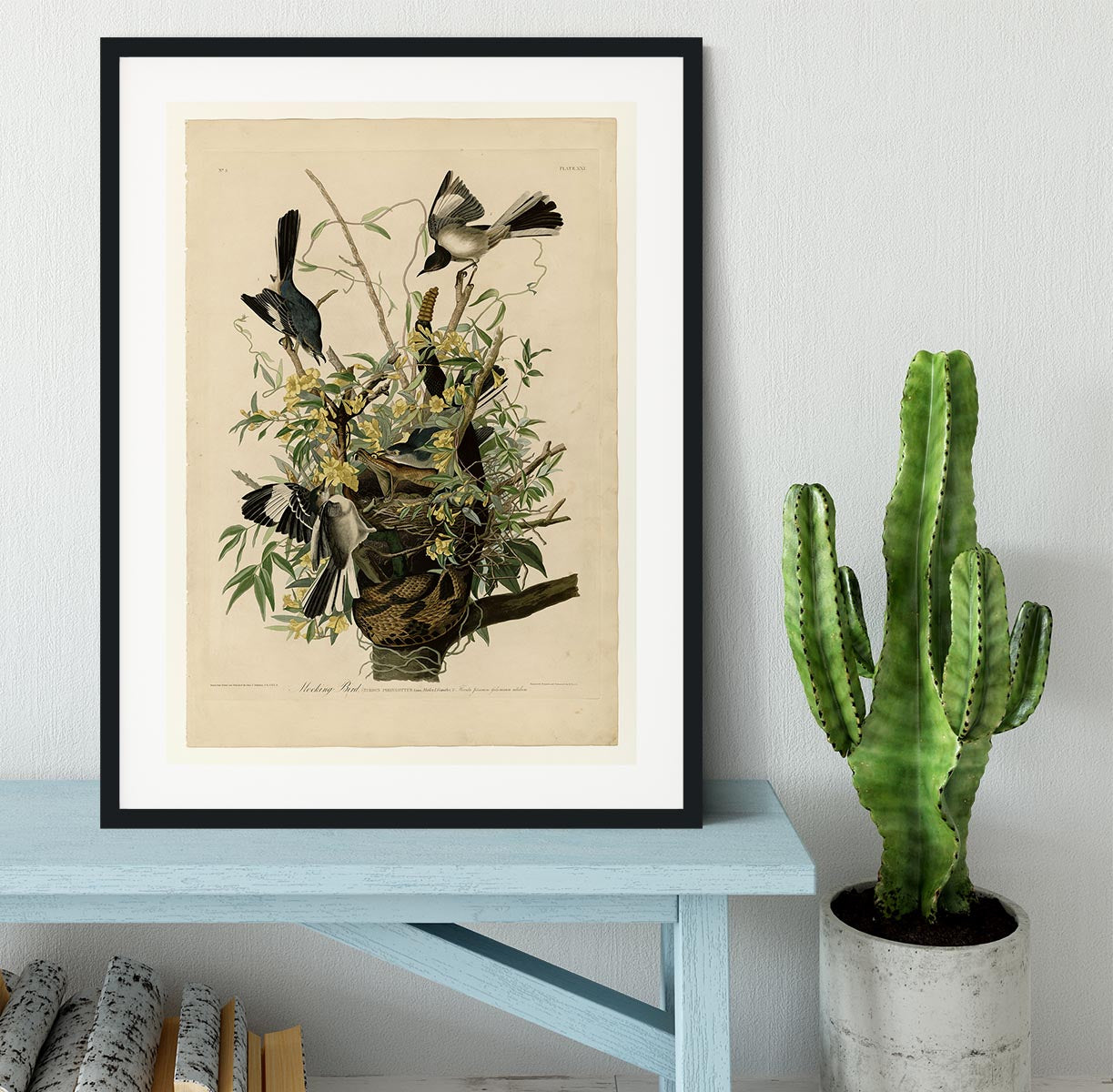 Mocking Bird by Audubon Framed Print - Canvas Art Rocks - 1