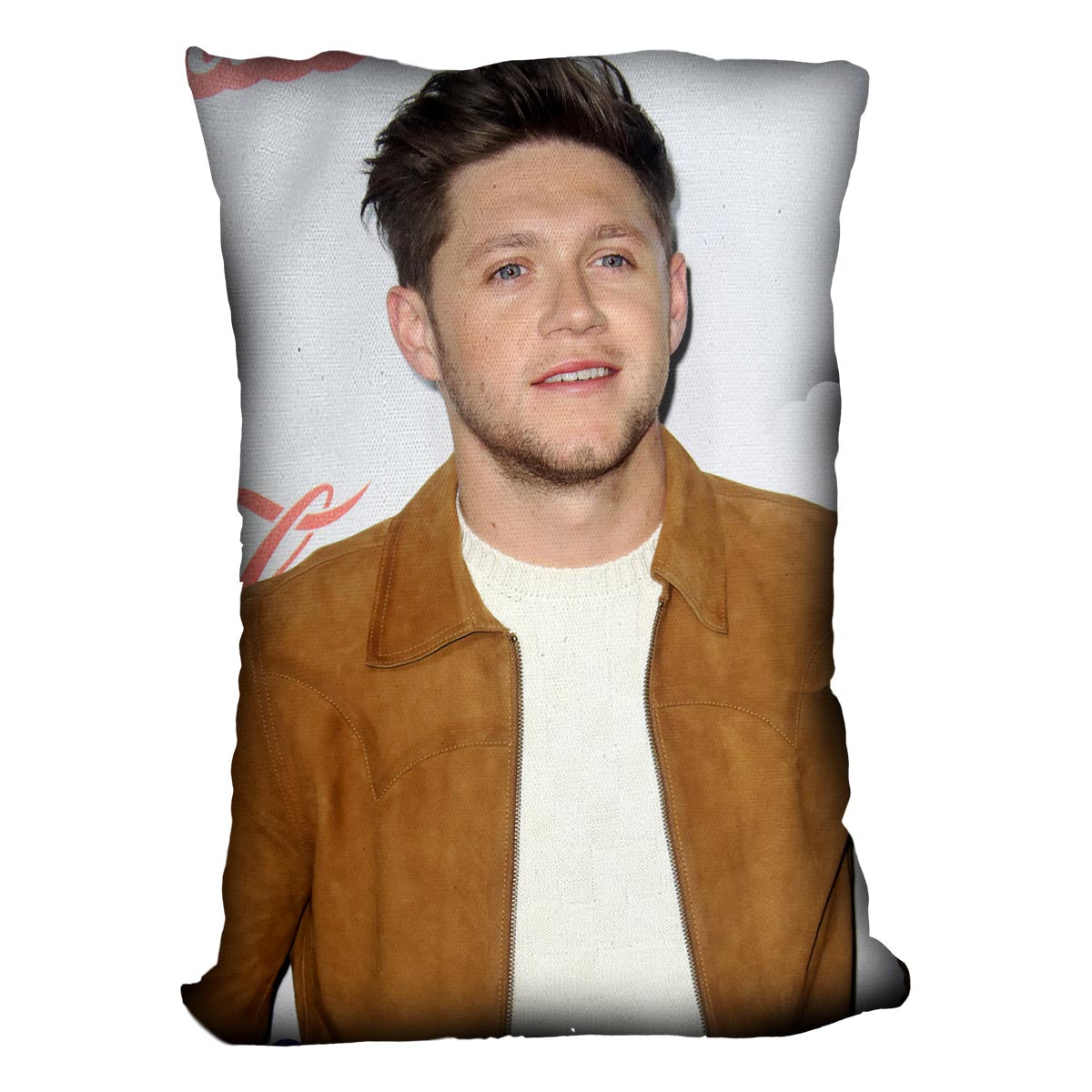 Niall Horan of One Direction Cushion