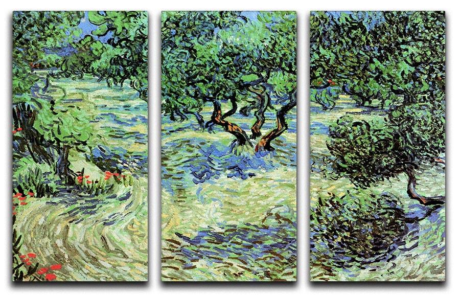 Olive Grove by Van Gogh 3 Split Panel Canvas Print - Canvas Art Rocks - 4
