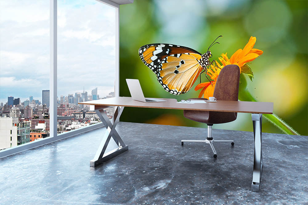 Orange butterfly on flower Thailand. Wall Mural Wallpaper - Canvas Art Rocks - 3