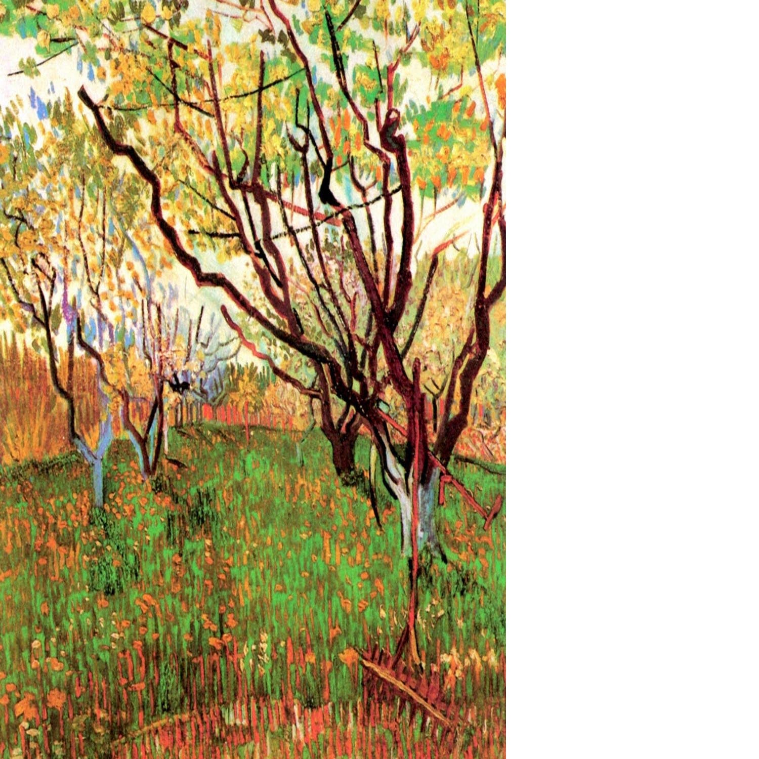 Orchard in Blossom by Van Gogh Floating Framed Canvas