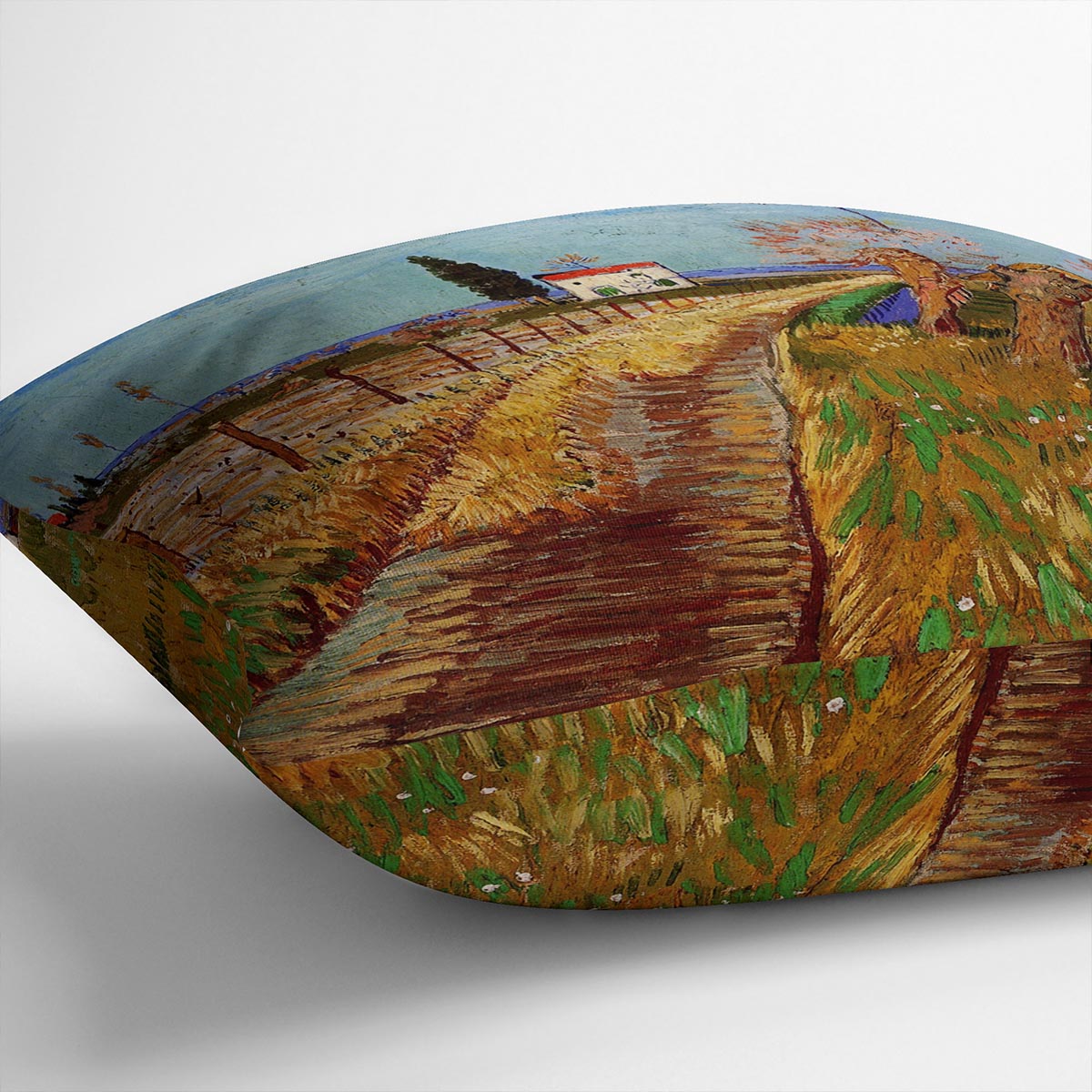 Path Through a Field with Willows by Van Gogh Cushion