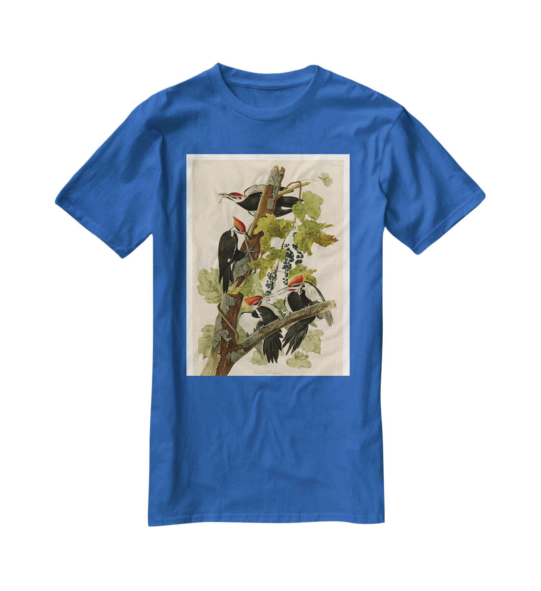 Pileated Woodpecker by Audubon T-Shirt - Canvas Art Rocks - 2