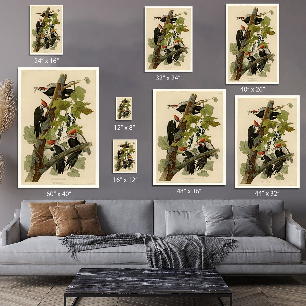 Pileated Woodpecker by Audubon Canvas Print or Poster - Canvas Art Rocks - 7