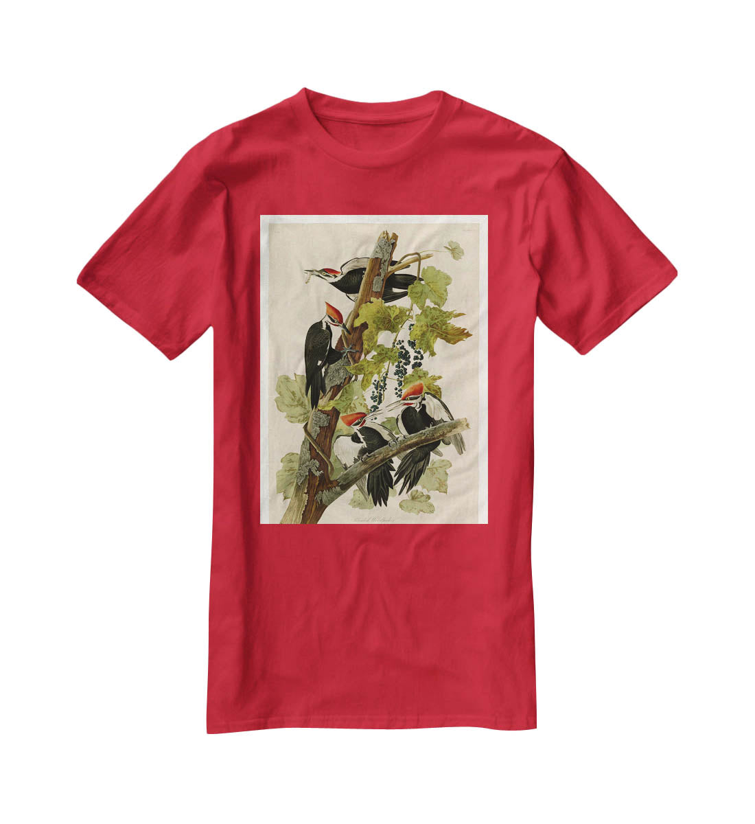 Pileated Woodpecker by Audubon T-Shirt - Canvas Art Rocks - 4