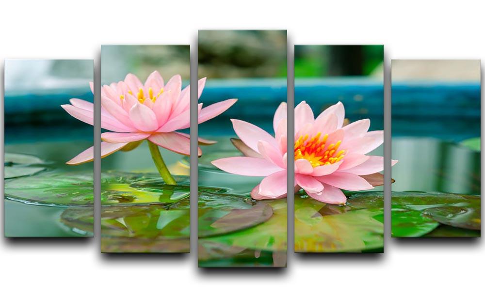 Pink Lotus or water lily in pond 5 Split Panel Canvas - Canvas Art Rocks - 1