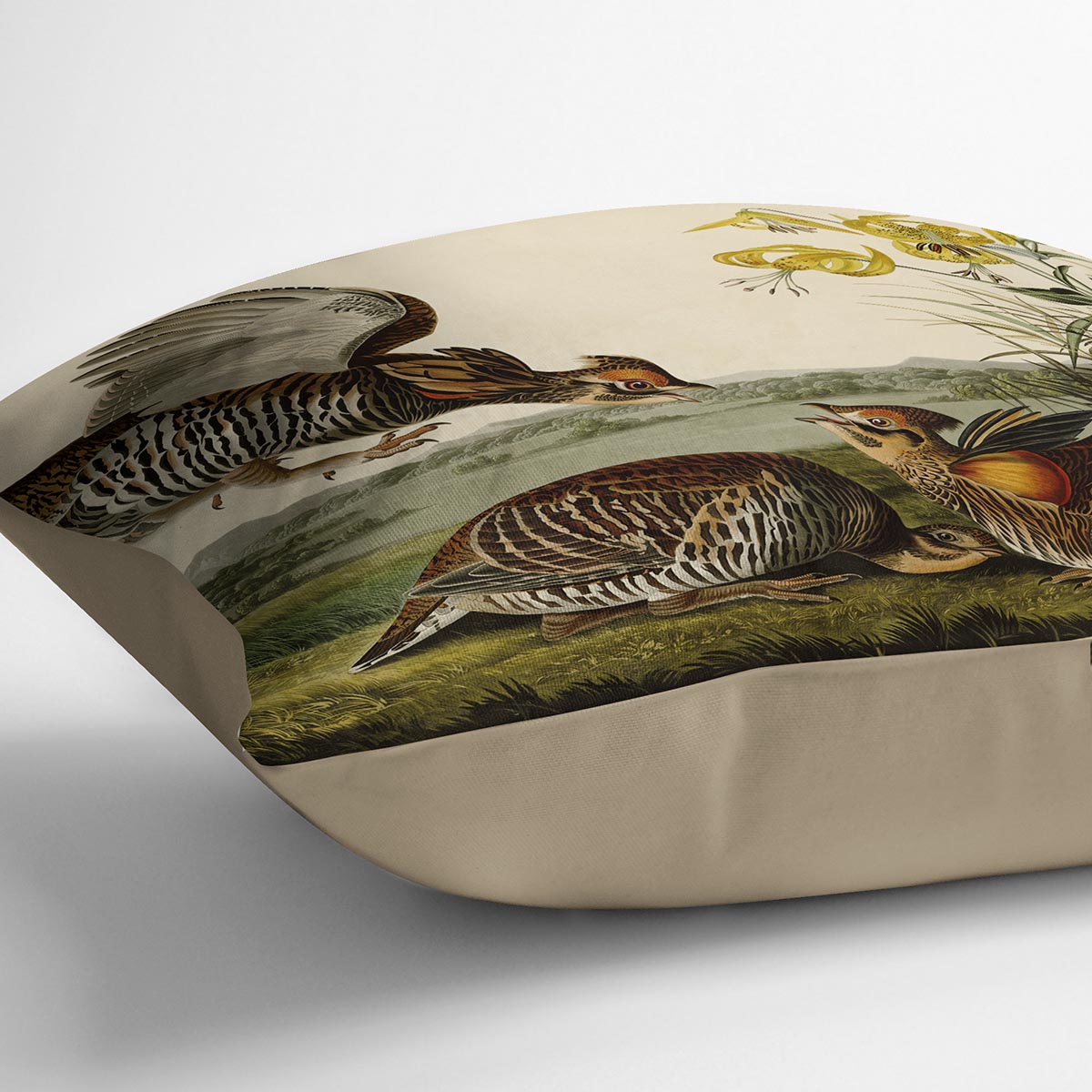 Pinnated Grouse by Audubon Cushion