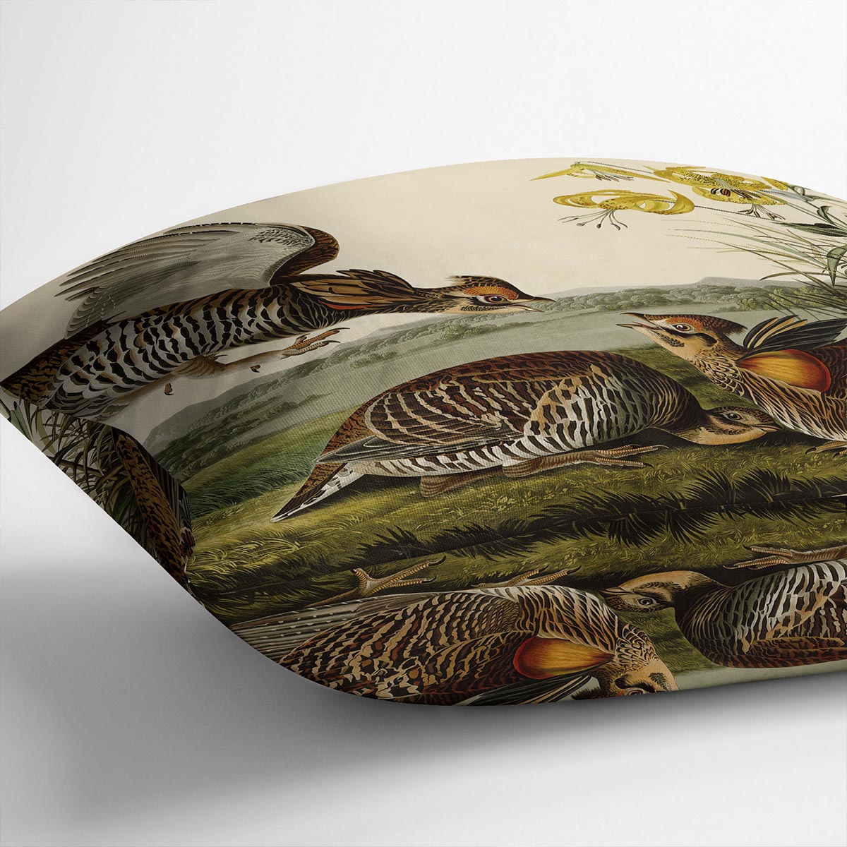 Pinnated Grouse by Audubon Cushion