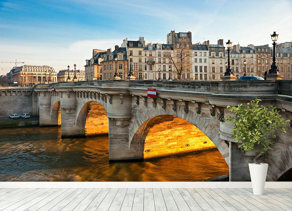 Pont neuf Ile de la Cite Wall Mural Wallpaper - Canvas Art Rocks - 4