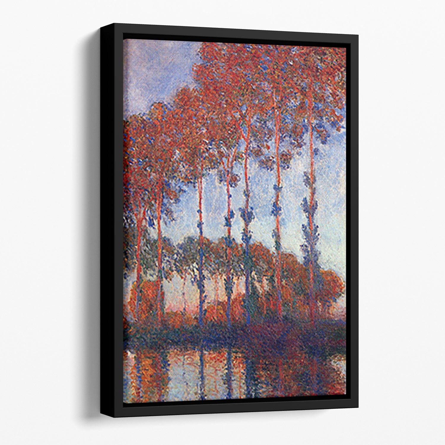 Poplars by Monet Floating Framed Canvas