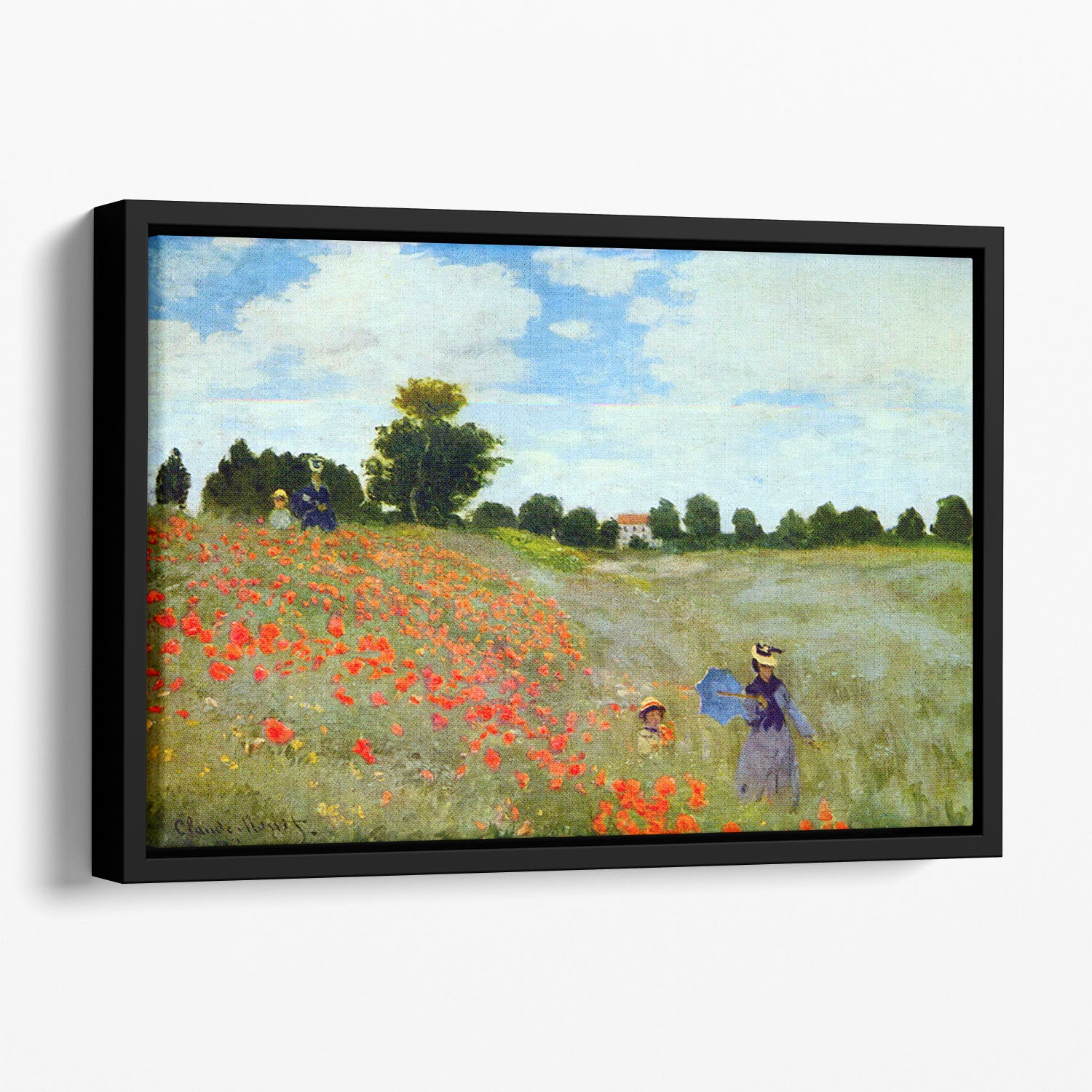 Poppies by Monet Floating Framed Canvas