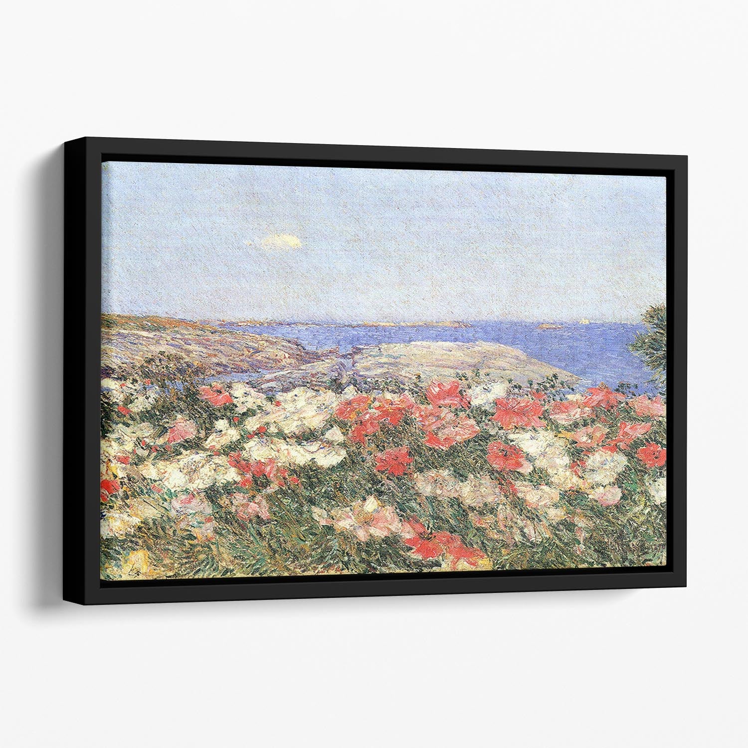 Poppies on the Isles of Shoals by Hassam Floating Framed Canvas - Canvas Art Rocks - 1