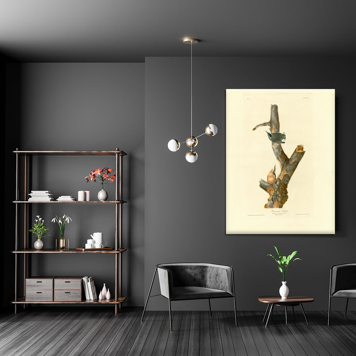 Red breasted Nuthatch by Audubon Canvas Print or Poster - Canvas Art Rocks - 5