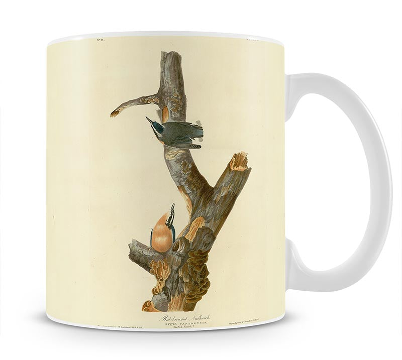 Red breasted Nuthatch by Audubon Mug - Canvas Art Rocks - 1