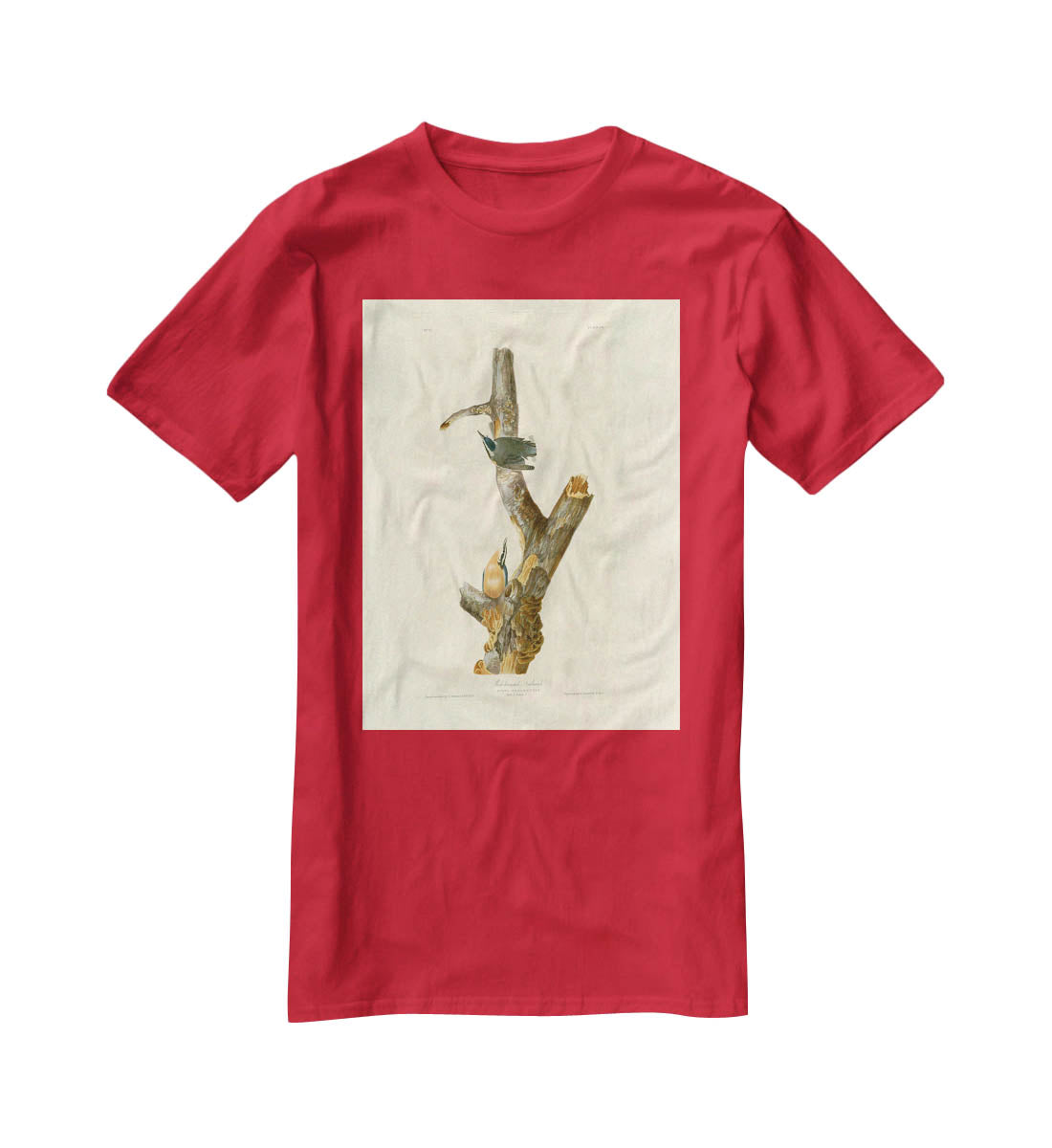 Red breasted Nuthatch by Audubon T-Shirt - Canvas Art Rocks - 4