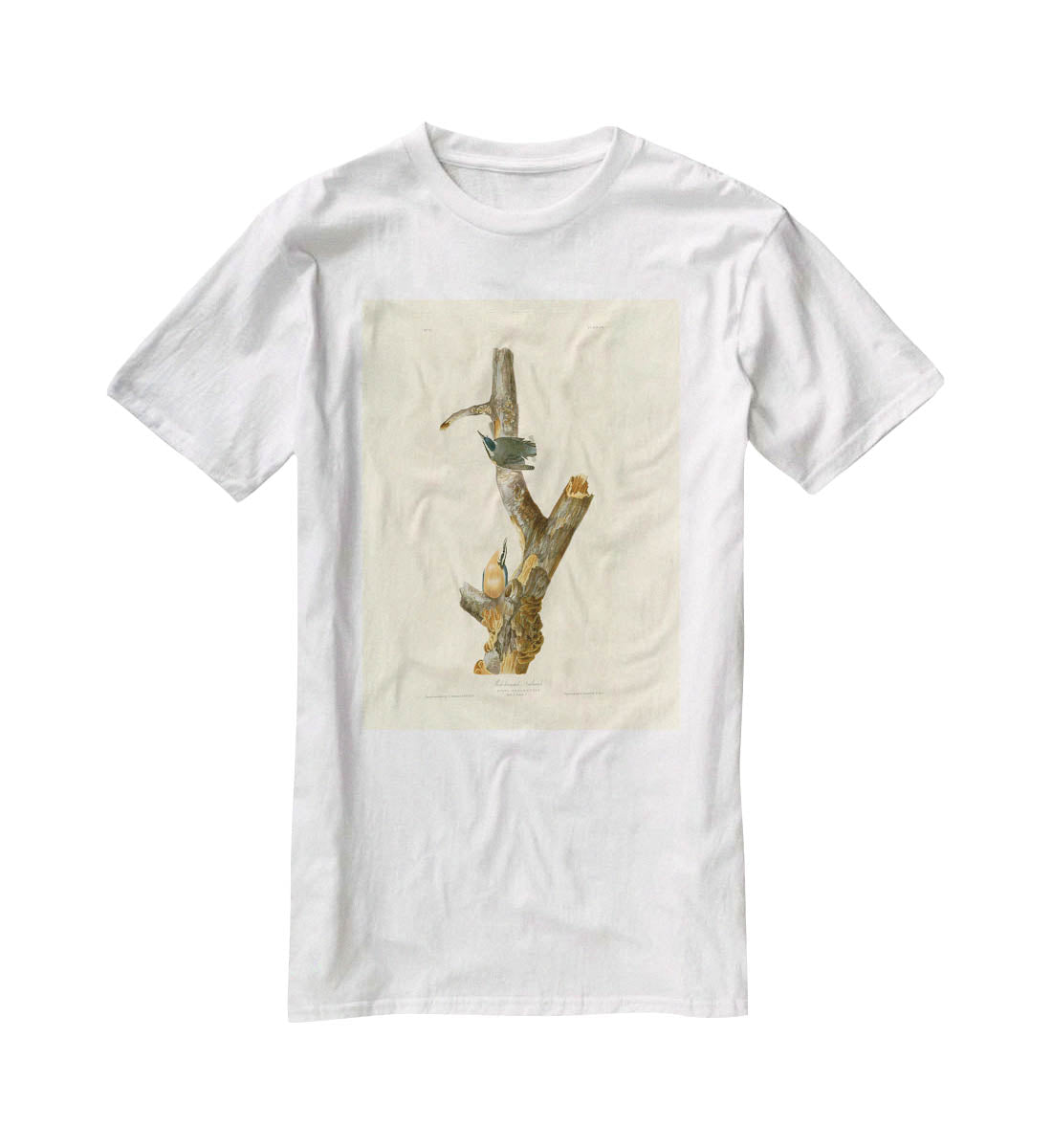 Red breasted Nuthatch by Audubon T-Shirt - Canvas Art Rocks - 5