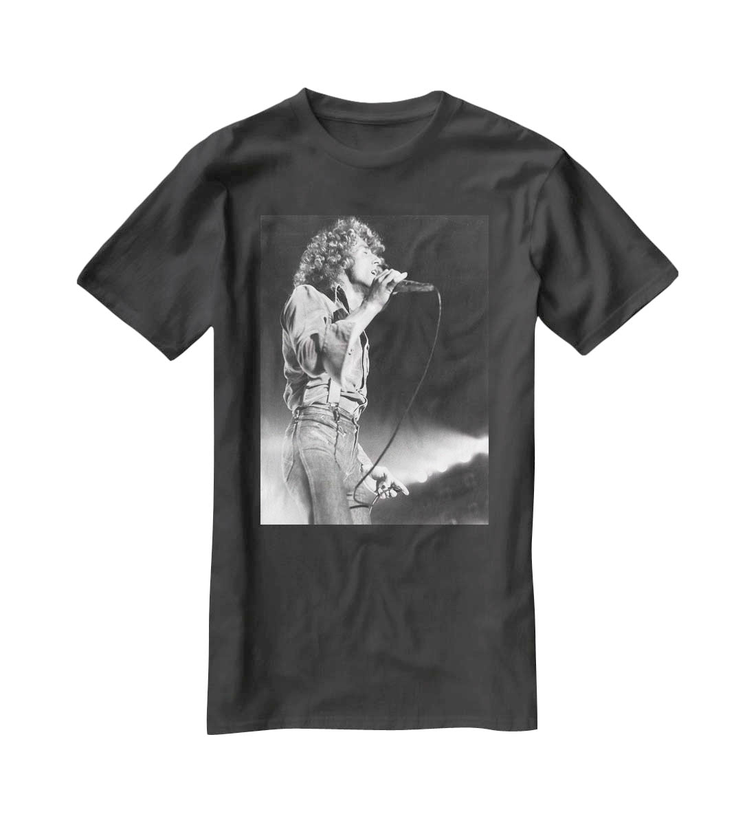 Roger Daltrey on stage T-Shirt - Canvas Art Rocks - 1