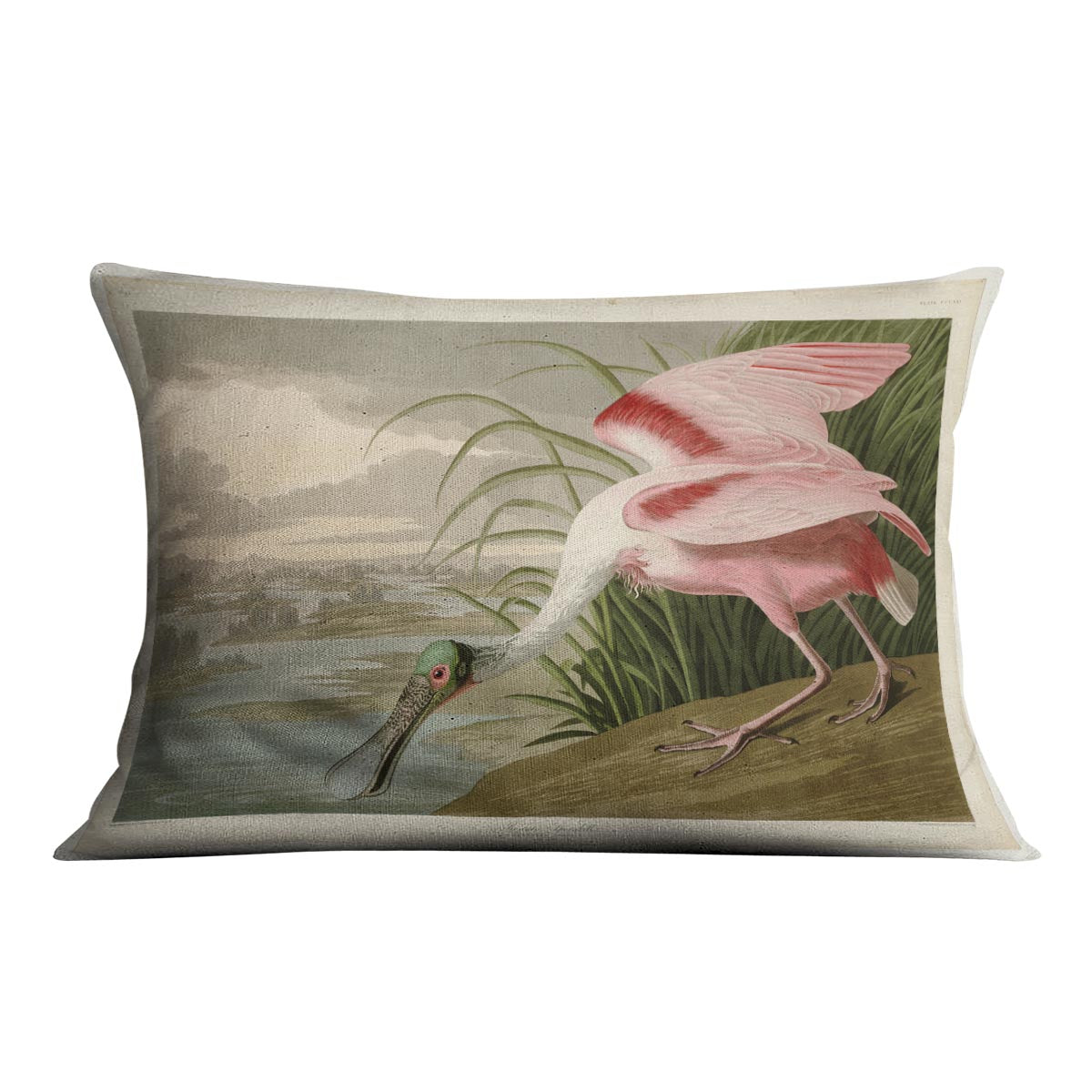 Roseate Spoonbill by Audubon Cushion